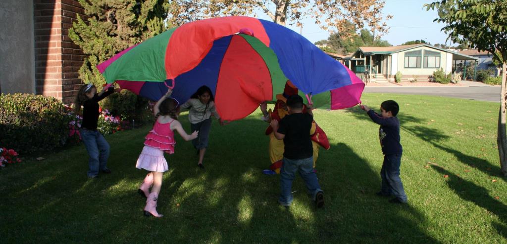 professional kid party magician